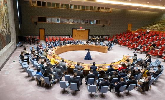 Security Council briefed on progress in UN-AU partnership for peace